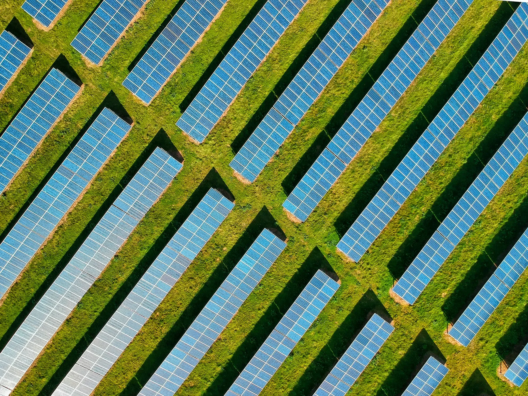 Aerial view of rows of solar panels surrounded by green fields